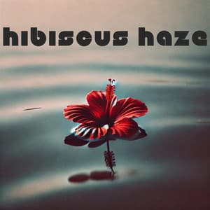 Hibiscus Haze - Bossa Nova Lounge Club