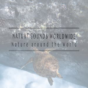 Nature Around the World - Nature Sounds Worldwide
