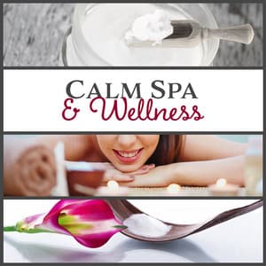 Calm Spa & Wellness - Spa Music Zone