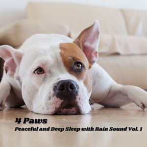 4 Paws: Peaceful and Deep Sleep with Rain Sound Vol. 1 - Native American Flute