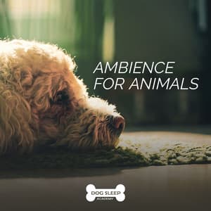 Ambience for Animals - Dog Sleep Academy