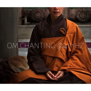 OM Chanting @417 Hz: Cleansing Music for our Body, Remove Negativity and Toxicity from our Body and Mind - Chakra Ray