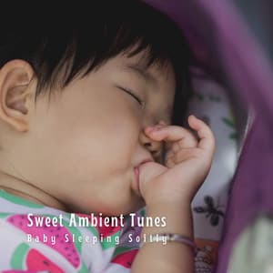 Sweet Ambient Tunes: Baby Sleeping Softly - Baby Shark