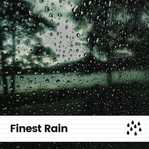 Finest Rain - Rain Sounds for Sleep Aid
