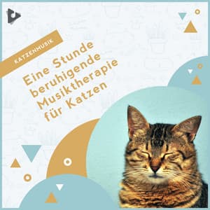 Eine Stunde beruhigende Musiktherapie für Katzen - Katzenmusik