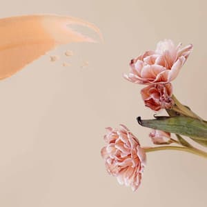 Jazz Violin - Background for Sunday Evening Cafe - Musica da Lavoro