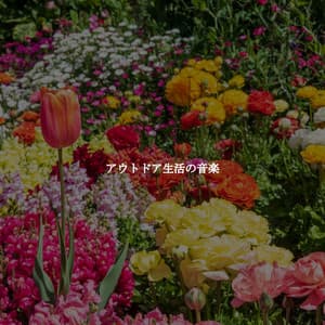 アウトドア生活の音楽 - Elevator Music Greats