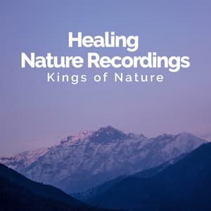 Healing Nature Recordings - Kings of Nature