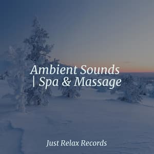 Ambient Sounds | Spa & Massage - Sleepy Night Music
