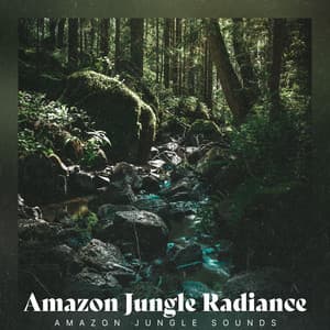 Amazon Jungle Radiance - Amazon Jungle Sounds
