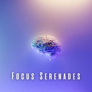 Focus Serenades: Piano Symphonies for Calm Mind - Life In Legato