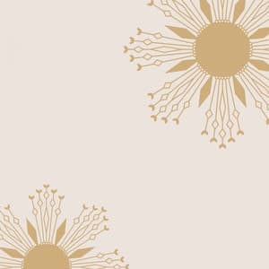 Feelings for Coffee House Mornings - Musica para Estudiar Radio