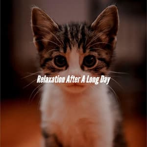 Relaxation After A Long Day - Saturday Morning Playlist