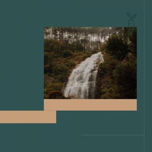 Coffee Time - Jazz for Working Playlists