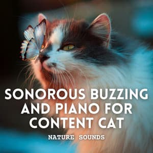 Nature Sounds: Sonorous Buzzing and Piano for Content Cat - Forest Crickets
