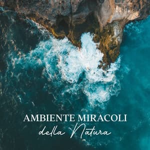 Ambiente Miracoli della Natura - Shane Nole