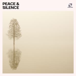 Peace & Silence: Anxiety Relief Music - Natural Anxiety Remedies