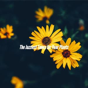 The Jazziest Tunes for Your Plants - Soft Romantic Jazz
