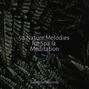 50 Nature Melodies for Spa & Meditation - Relaxamento