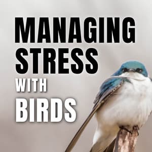 Managing Stress with Birds - Bird Songs