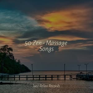50 Zen - Massage Songs - Deep Sleep Relaxation