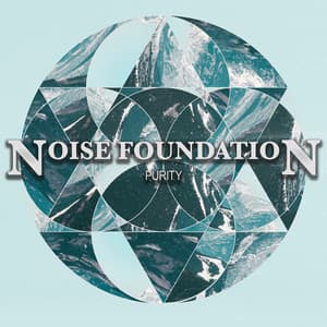 Purity - Noise Foundation