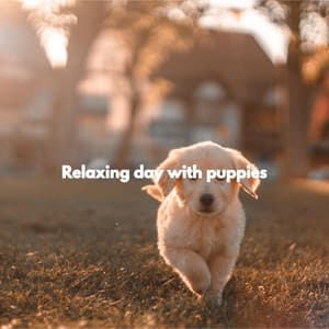 Relaxing day with puppies - Morning Bossanova Playlist