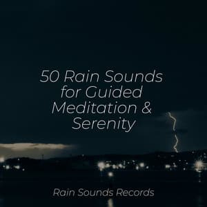 50 Rain Sounds for Guided Meditation & Serenity - Nature Sounds Nature Music