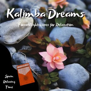 Kalimba Dreams: Forest Nightscapes for Relaxation - Spain Relaxing Time
