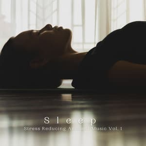 Sleep: Stress Reducing Ambient Music Vol. 1 - The Water Sleepers