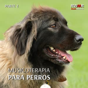 Musicoterapia para perros 2 - Sonidos calmantes para los oídos del perro para relajar a la mascota mientras está fuera, reducir la ansiedad y el estrés - RW Terapia de sonido