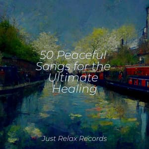 50 Peaceful Songs for the Ultimate Healing - Meditar Profundamente