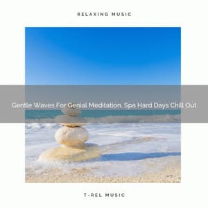 Gentle Waves For Genial Meditation, Spa Hard Days Chill Out - Spiritual Relax