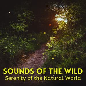 Sounds of the Wild: Serenity of the Natural World - Naturaleza FX