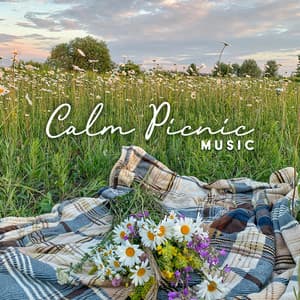 Calm Picnic Music: Piano to Slow Down, Enjoy the Beautiful Weather and Have a Lovely Time - Good Morning Jazz Academy