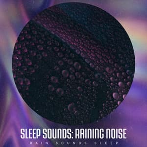 Sleep Sounds: Raining Noise - Rain Sounds Sleep