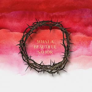What a Beautiful Savior - First Worship