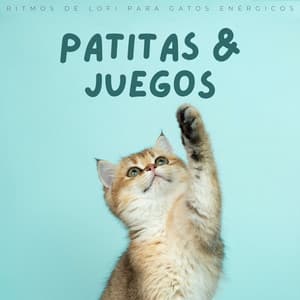 Patitas Y Juegos: Ritmos De Lofi Para Gatos Enérgicos - Ritmos lofi