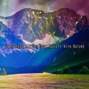 17 Release All Of Your Anxiety With Nature - Sound Library XL