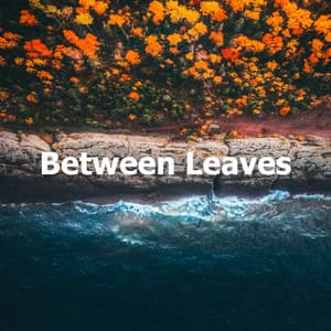 Between Leaves - Jungle Sounds