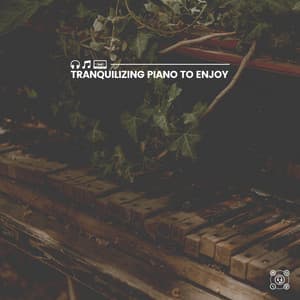 Tranquilizing Piano to Enjoy - Piano Piano