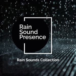 Rain Sound Presence - Rain Sounds Collection