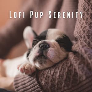 Lofi Pup Serenity: Chill Music for Soothing Dogs - Gentle Doggy Music