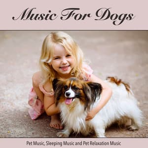Music For Dogs, Pet Music, Sleeping Music and Pet Relaxation Music - Dog Music