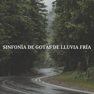 Sinfonía De Gotas De Lluvia Fría - Las Olas Del Mar