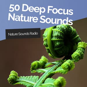 50 Deep Focus Nature Sounds - Nature Sounds Radio