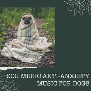 Dog Music Anti-Anxiety Music for Dogs - Anti Anxiety Music for Dogs