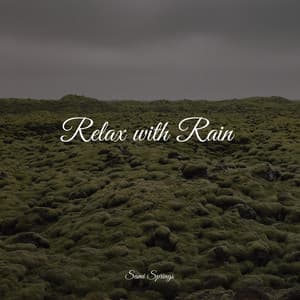 Relax with Rain - Thunder Storm