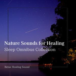 Nature Sounds for Healing - Sleep Omnibus Collection - RelaxHealingSound