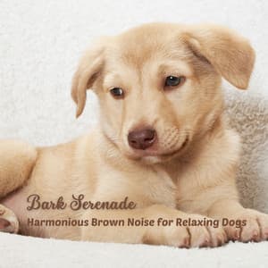 Bark Serenade: Harmonious Brown Noise for Relaxing Dogs - Sounds of the Everyday